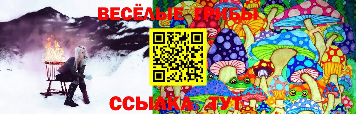 Галлюциногенные грибы ЛСД Зима